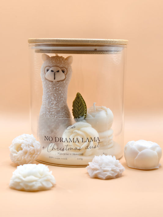 NO DRAMA LAMA - Christmas dust
